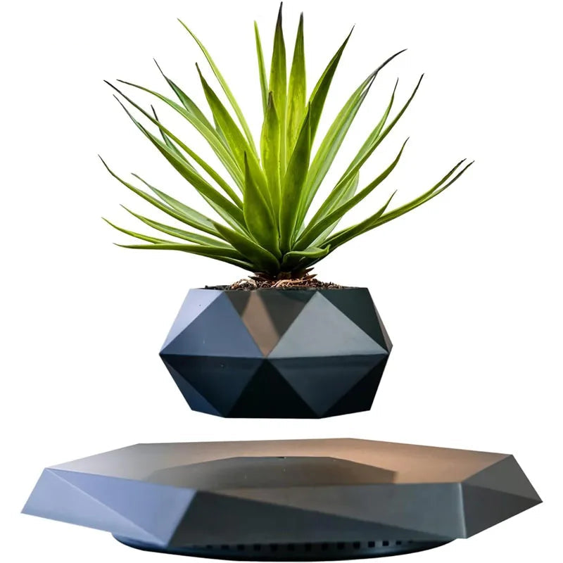 The Orbit | Levitating Botanical Planter