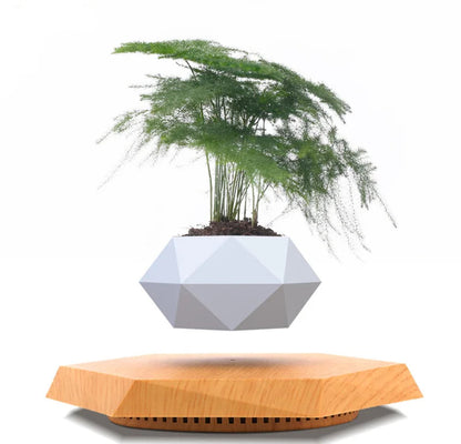 The Orbit | Levitating Botanical Planter