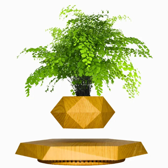 The Orbit | Levitating Botanical Planter