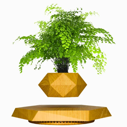The Orbit | Levitating Botanical Planter