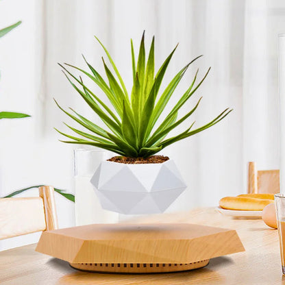 The Orbit | Levitating Botanical Planter