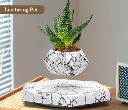 The Orbit | Levitating Botanical Planter