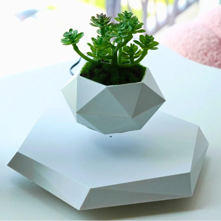 The Orbit | Levitating Botanical Planter