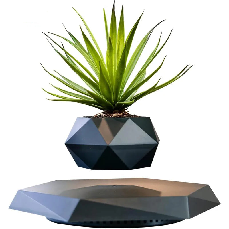 The Orbit | Levitating Botanical Planter