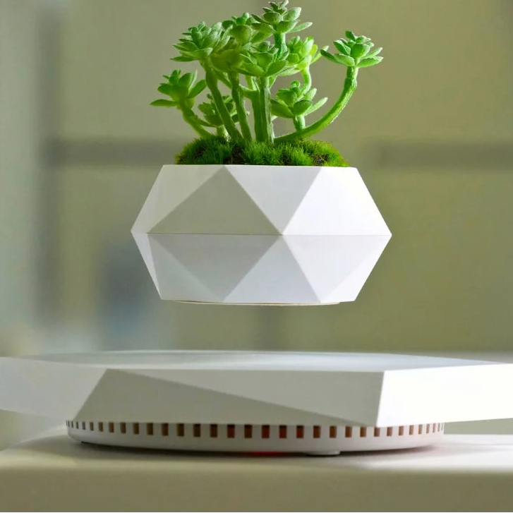 The Orbit | Levitating Botanical Planter