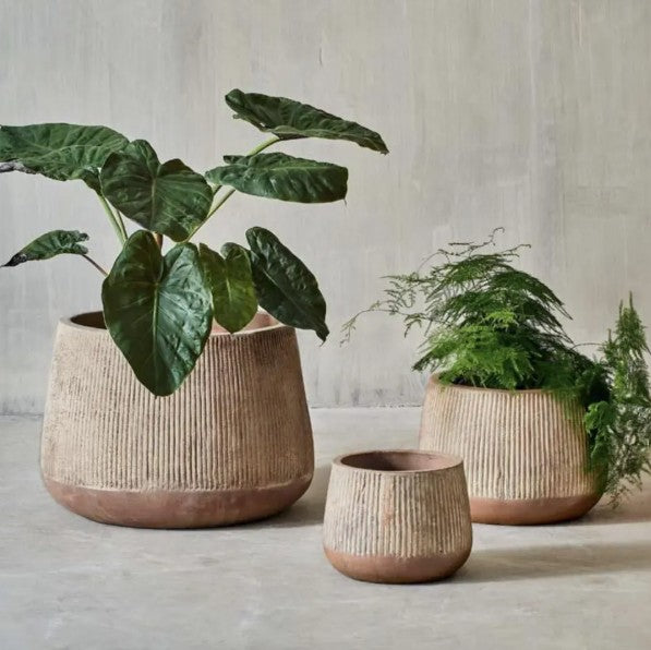 The Grove | Terracotta Planter