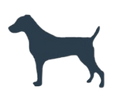 Small Dog