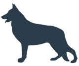 Large Dog