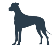 X-Large Dog