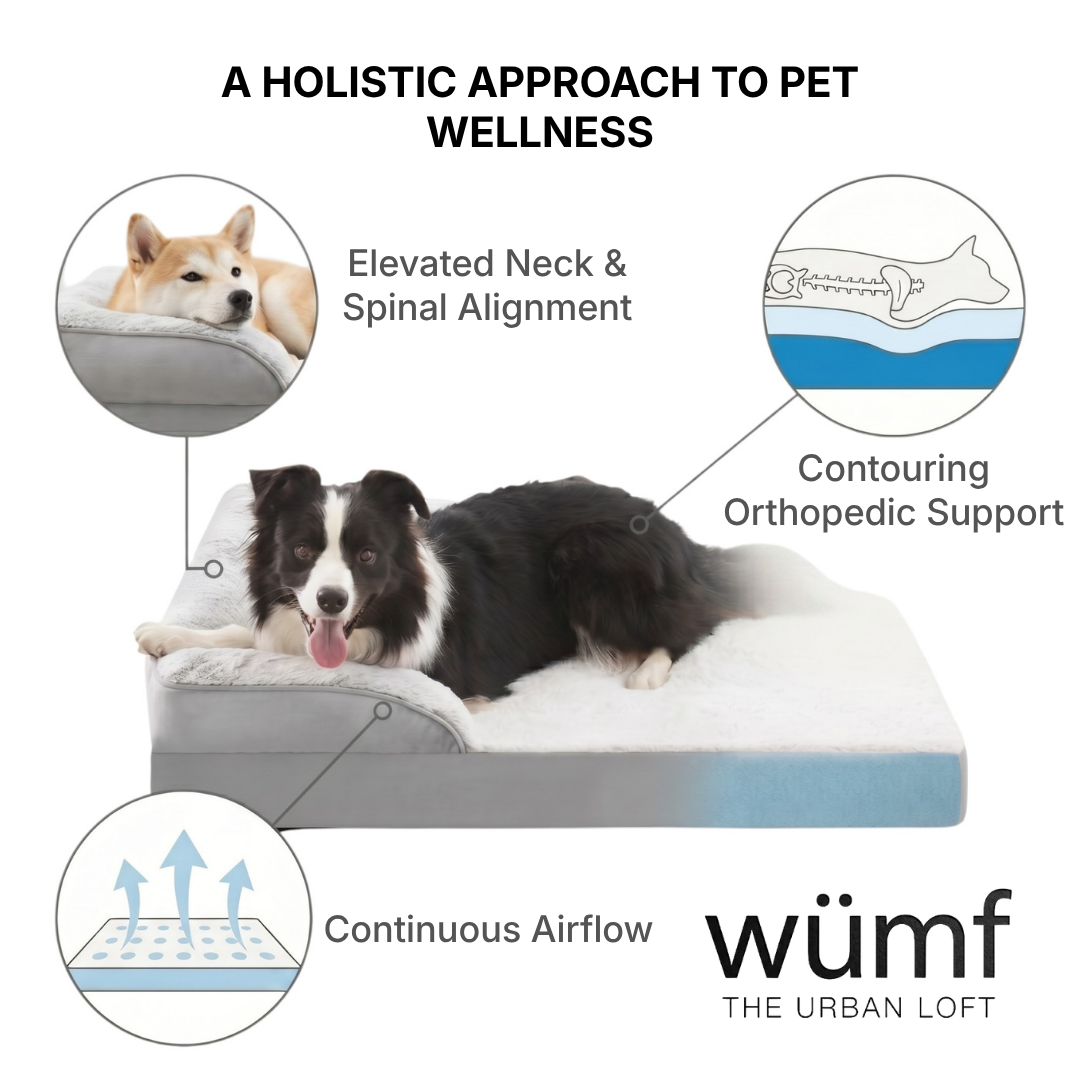 The Wumf™ Orthopedic Pet Lounger