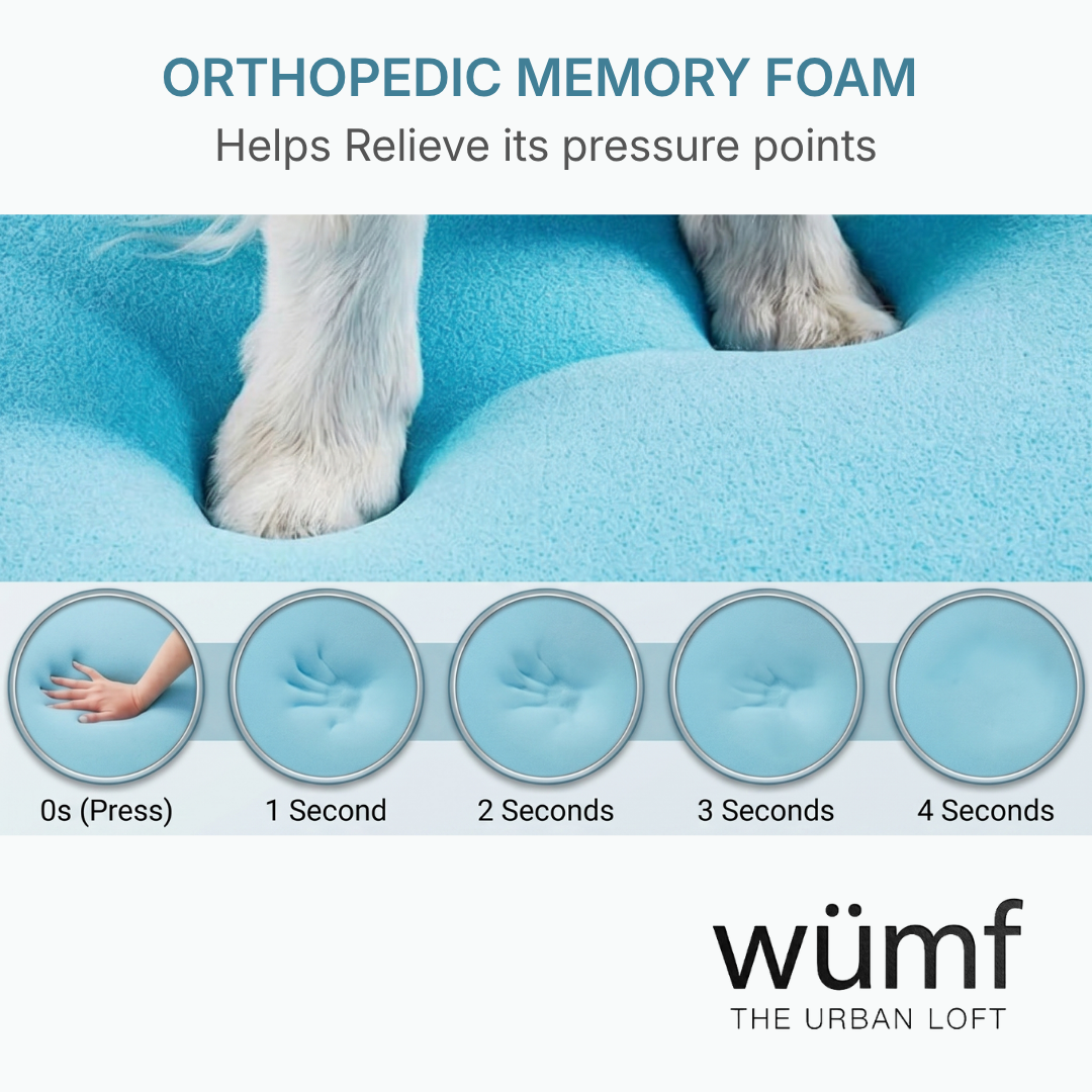 The Wumf™ Orthopedic Pet Lounger