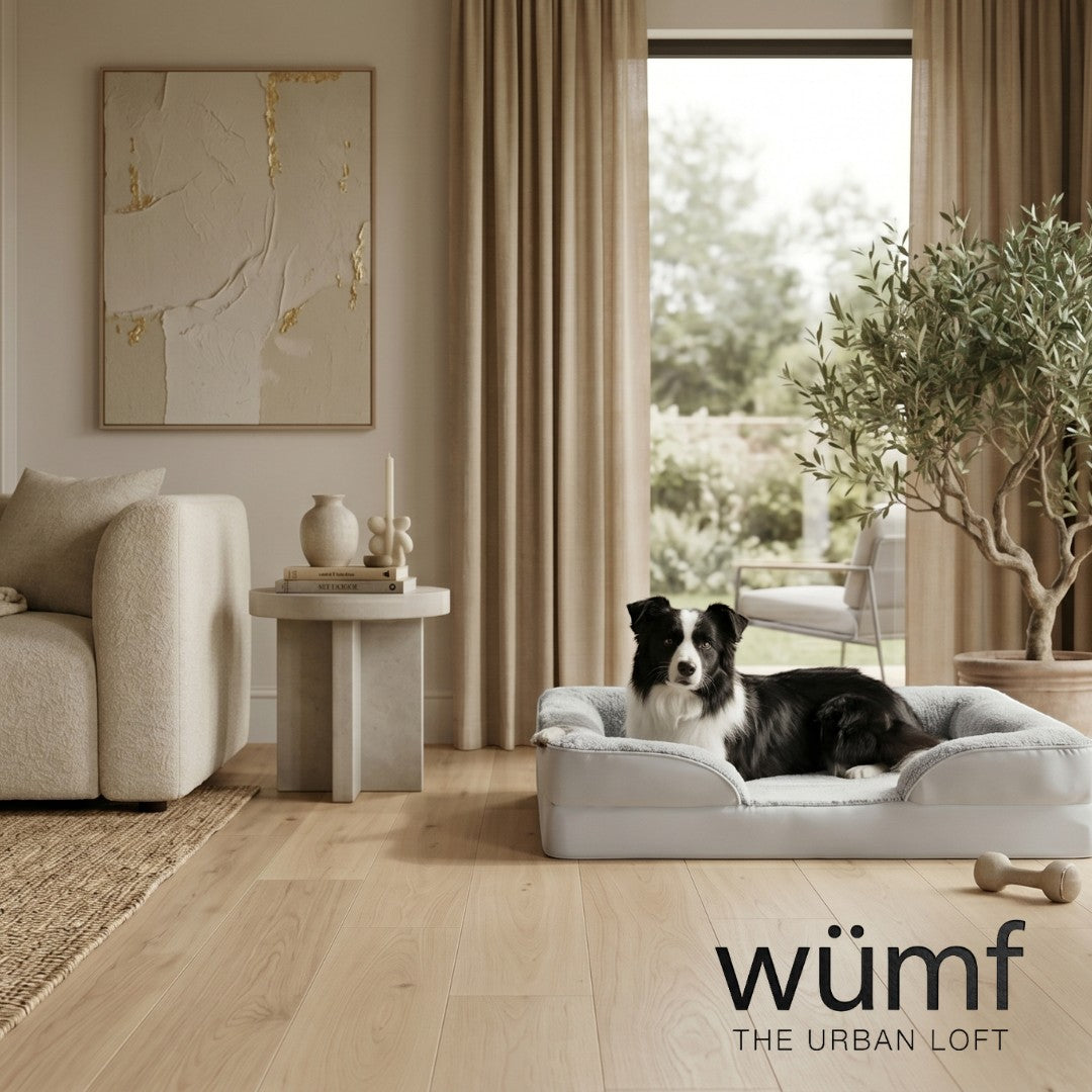The Urban Loft Wumf orthopedic pet lounger in light grey with a border collie dog resting on it.