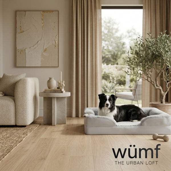 The Wumf™ Orthopedic Pet Lounger